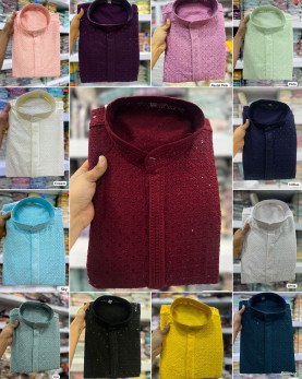 24. CHIKANKARI KURTA