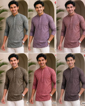 Chikankari 2.0
