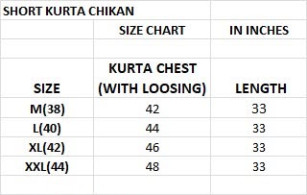 Chikankari 2.0