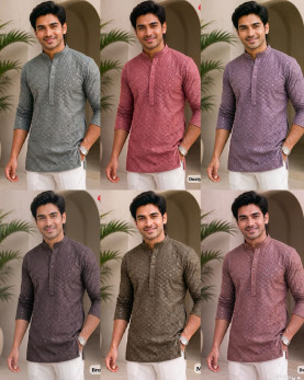 128.Chikankari 2.0
